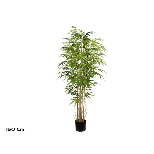 ARBOL BAMBU T/N X 5- 150 CM