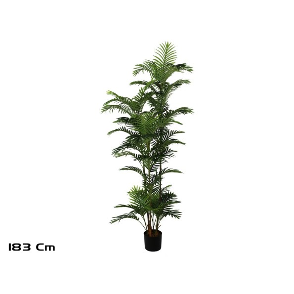 PLANTA PALMERA PHOENIX -183 CM