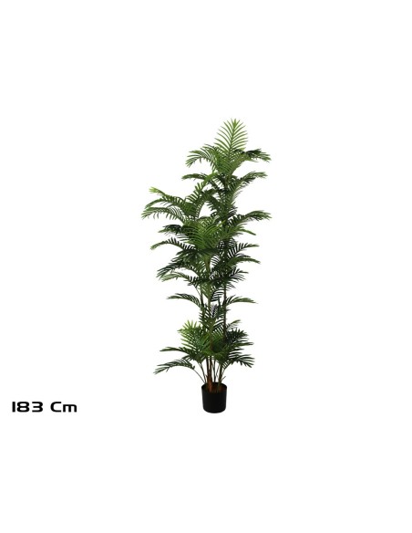 PLANTA PALMERA PHOENIX -183 CM