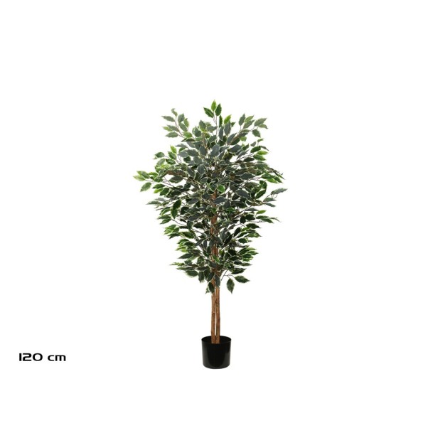 ARBOL FICUS T/NATURAL -150 CM