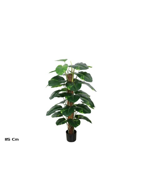 PLANTA POTUS X 33 T/ COCO 115 CM