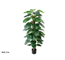 PLANTA POTUS X 48 T/ COCO 152 CM