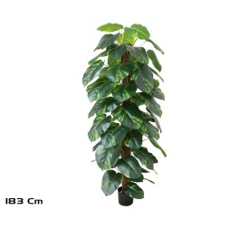 PLANTA POTUS X 63 T/ COCO 182 CM