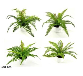 MACETA HELECHOS X 15 LVS-28 CM (S)