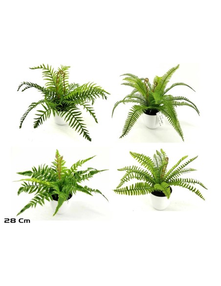 MACETA HELECHOS X 15 LVS-28 CM (S)