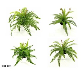 MACETA HELECHOS X 21 LVS-30 CM (S)