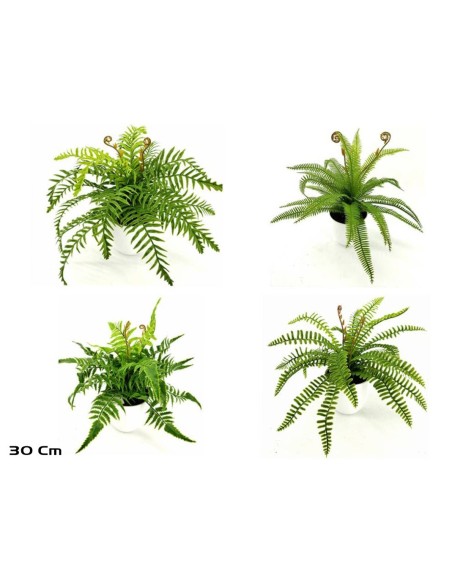 MACETA HELECHOS X 21 LVS-30 CM (S)