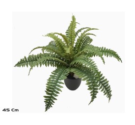 MACETA BOSTON FERN X 25 LVS -45 CM