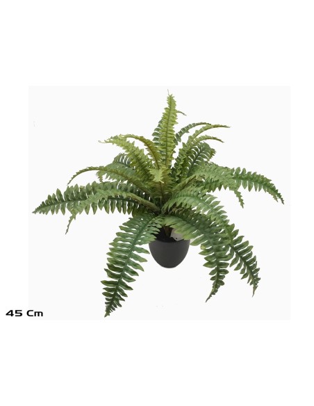MACETA BOSTON FERN X 25 LVS -45 CM