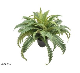 MACETA BOSTON FERN X 49 LVS -49 CM
