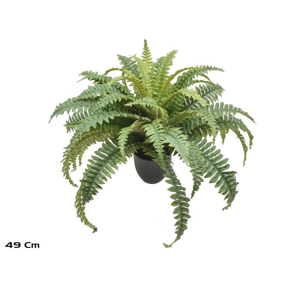 MACETA BOSTON FERN X 49 LVS -49 CM