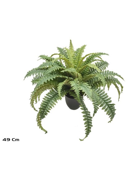 MACETA BOSTON FERN X 49 LVS -49 CM