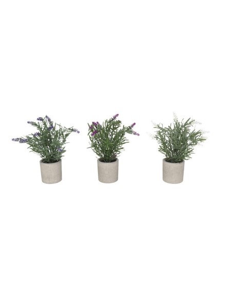 MACETA P/POT LAVANDA 26 CM (SURTIDAS)