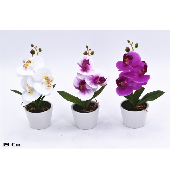 MACETA ORQUIDEAS X 3 R/TOUCH-19 CM (S)