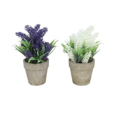 MACETA LAVANDA-FERN  -20CM