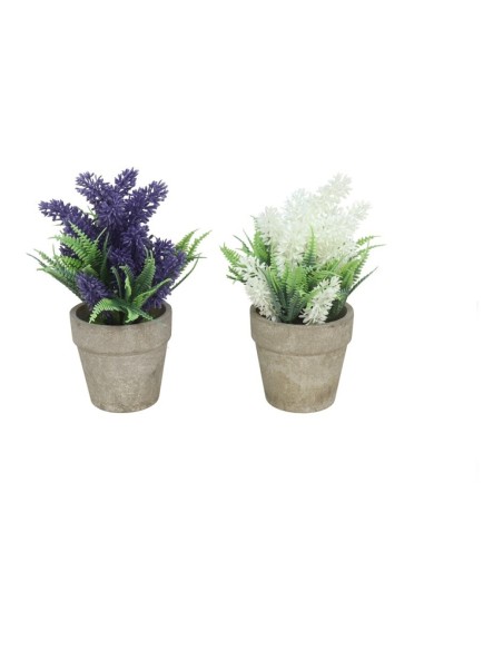 MACETA LAVANDA-FERN  -20CM