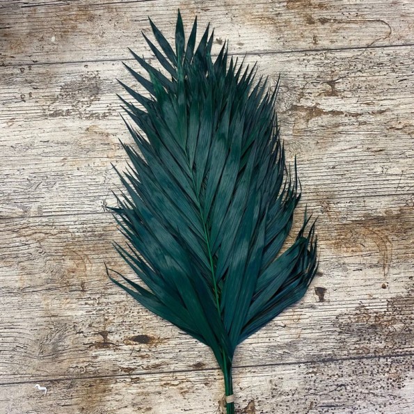 CHICO PRESS 40 cms. VERDE (67)