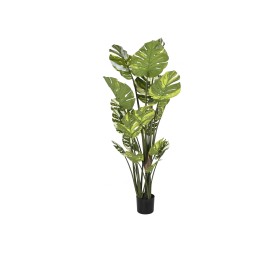 PLANTA PE CEMENTO 80X80X180 MONSTERA VERDE