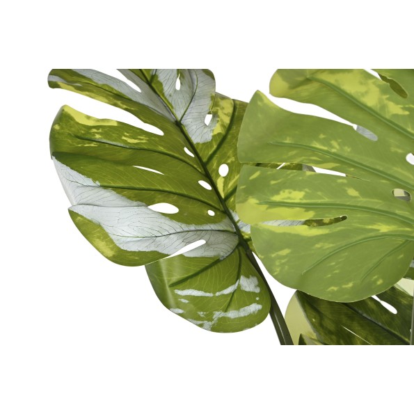 PLANTA PE CEMENTO 80X80X180 MONSTERA VERDE