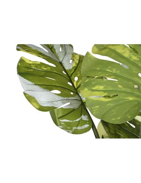 PLANTA PE CEMENTO 80X80X180 MONSTERA VERDE