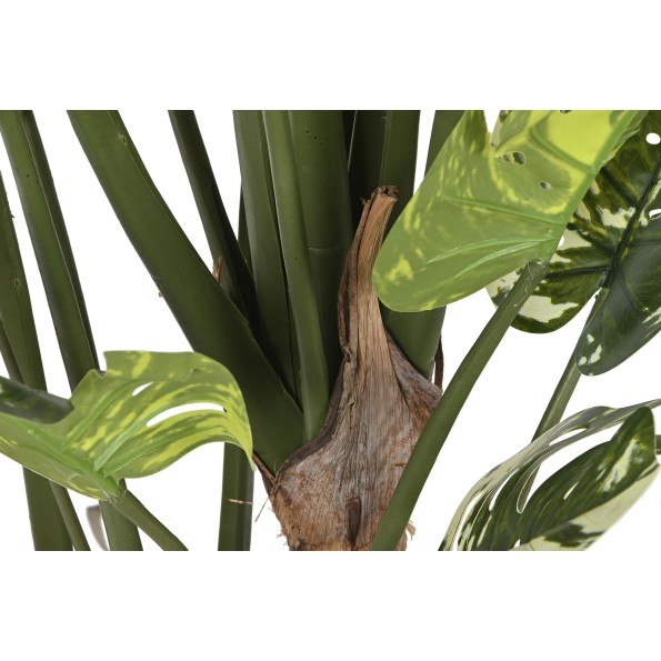 PLANTA PE CEMENTO 80X80X180 MONSTERA VERDE