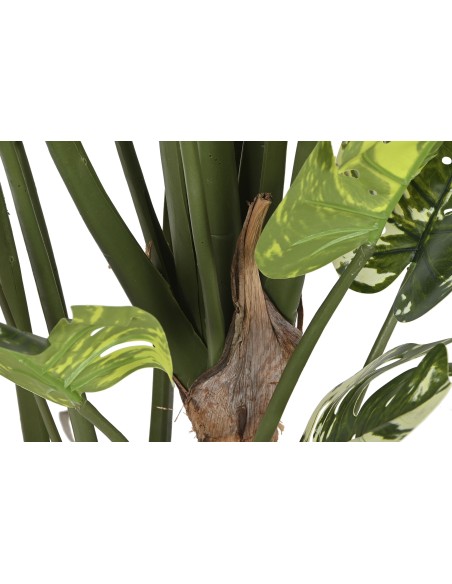 PLANTA PE CEMENTO 80X80X180 MONSTERA VERDE