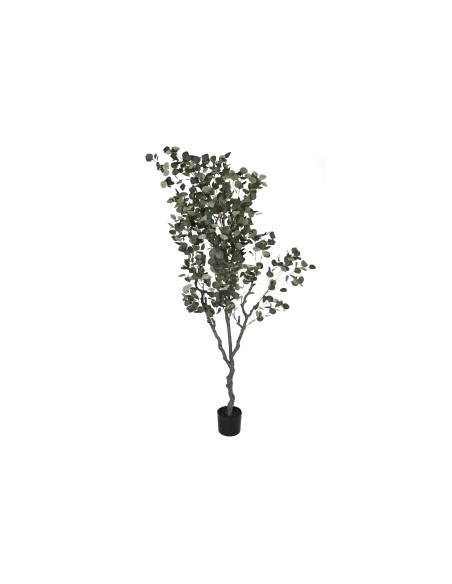 ARBOL PE CEMENTO 80X80X220 EUCALIPTO VERDE