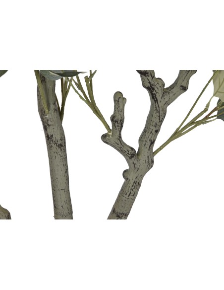 ARBOL PE CEMENTO 80X80X220 EUCALIPTO VERDE