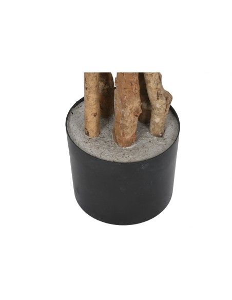 ARBOL PE CEMENTO 80X80X200 ALMENDRO BLANCO