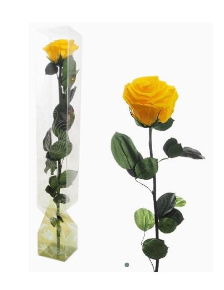 ROSA PRESERVADA TALLO LARGO AMARILLA