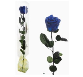 ROSA PRESERVADA TALLO LARGO AZUL
