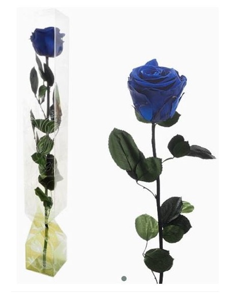 ROSA PRESERVADA TALLO LARGO AZUL