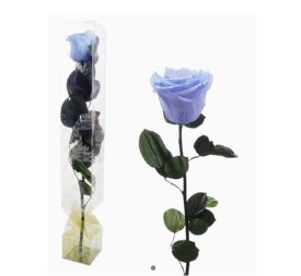 ROSA PRESERVADA TALLO LARGO BLUE