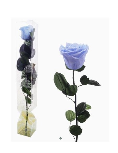 ROSA PRESERVADA TALLO LARGO BLUE