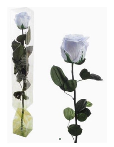 ROSA PRESERVADA TALLO LARGO LAVANDA