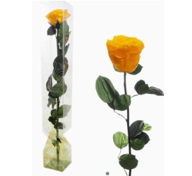 ROSA PRESERVADA TALLO LARGO SAFFRON YELOW
