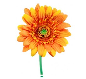 GERBERAX1 M.P.NARAN.54cm(8cm