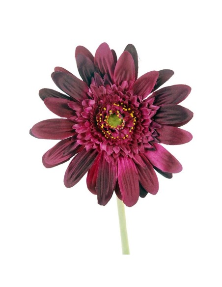 GERBERAX1 M.P.LILA 54cm(8cm) (F