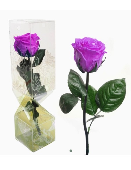 ROSA PRESERVADA TALLO CORTO LILA
