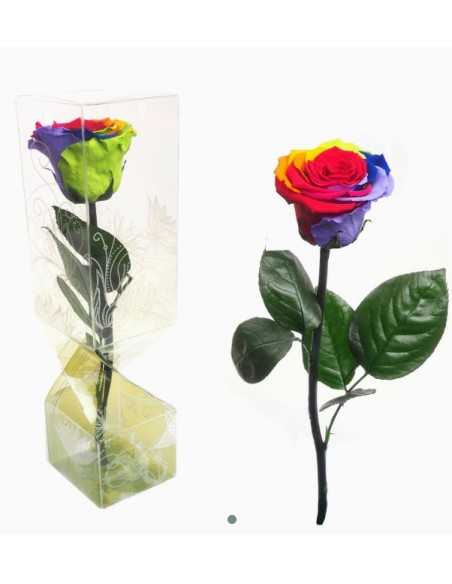 ROSA PRESERVADA TALLO CORTO MULTICOLOR