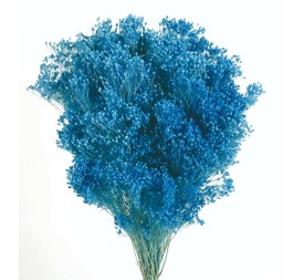 BROOMS PRESS. 50 CM AZUL (73)
