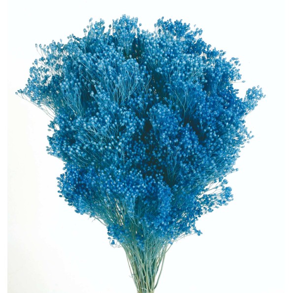 BROOMS PRESS. 50 CM AZUL (73)