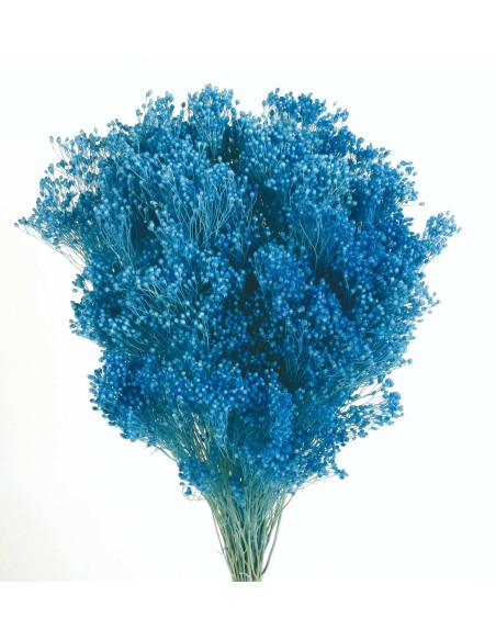 BROOMS PRESS. 50 CM AZUL (73)