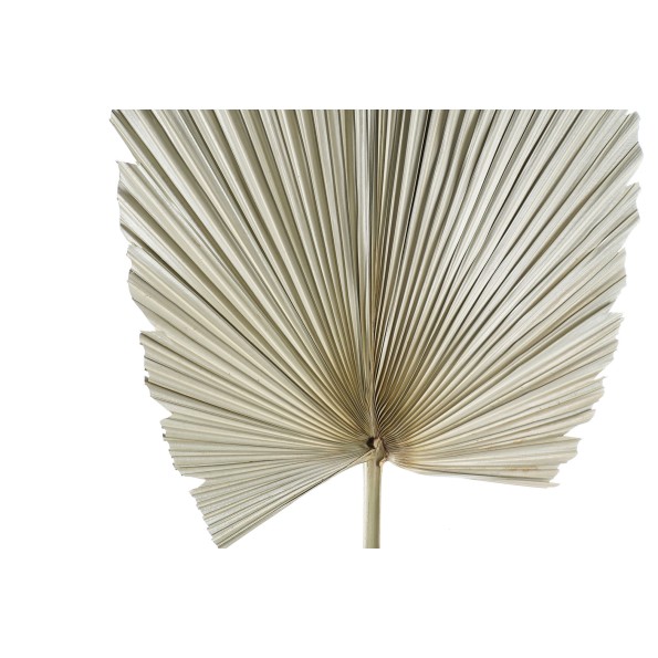 DECORACION HOJA DE PALMERA 45X45X103 NATURAL