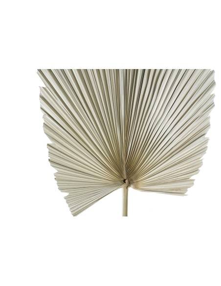 DECORACION HOJA DE PALMERA 45X45X103 NATURAL