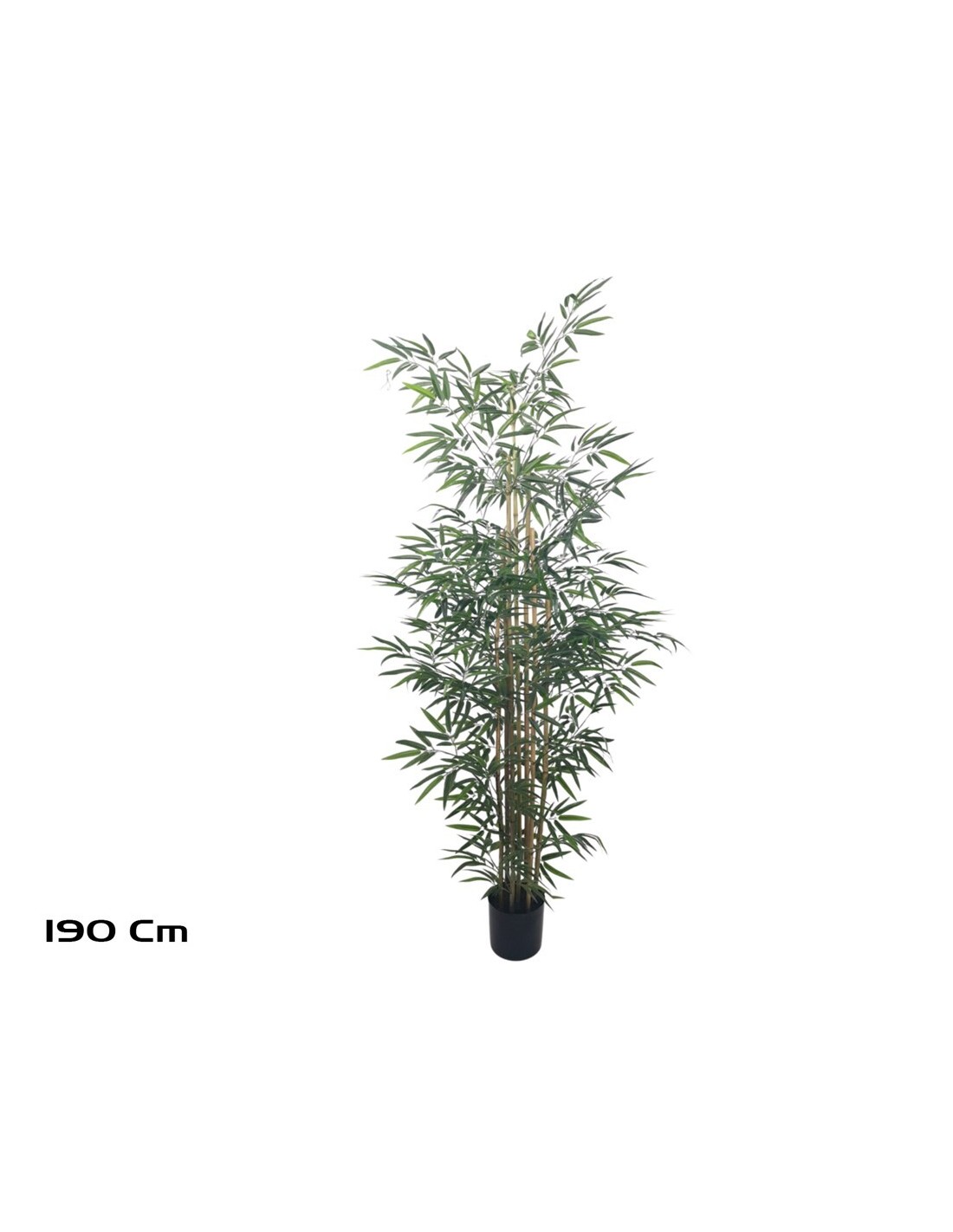 arbol-bambu-t-c-x-5-190-cm