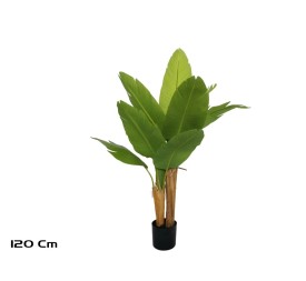 PLANTA PLATANERO LVS R/T 120 CM