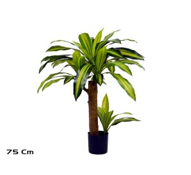 ARBOL DRACENA 75 CM
