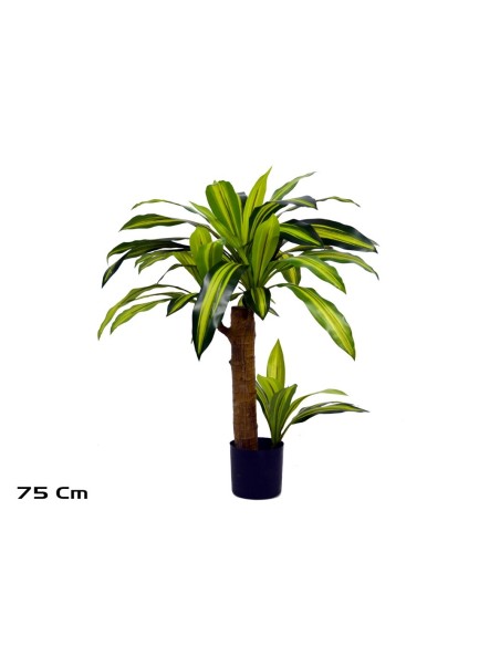 ARBOL DRACENA 75 CM