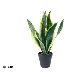 MACETA SENSEVERIA X 7 C/PIEDRAS 41 CM